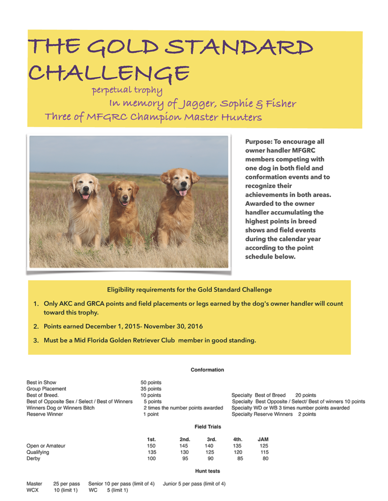 GOLD STANDARD CHALLENGE 2016-small